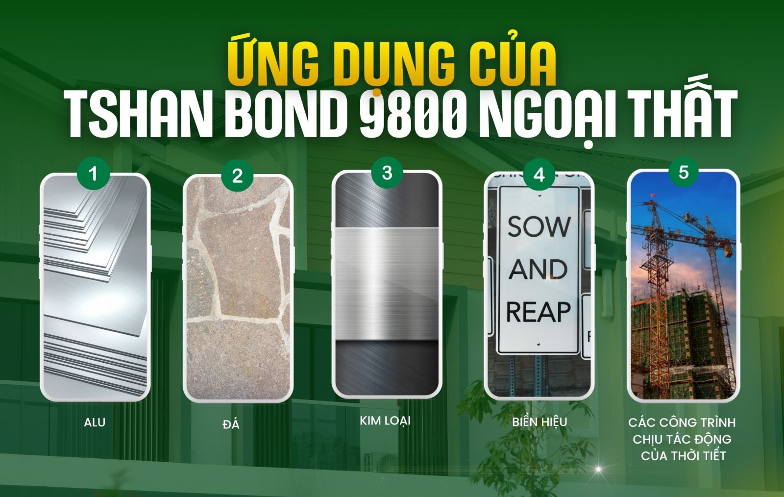 Keo dán Bond 9800 Ngoại thất TSHAN