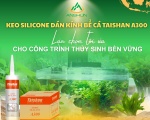 KEO SILICONE DÁN KÍNH BỂ CÁ TAISHAN A300 – Lựa Chọn Tối Ưu Cho Công Trình Thủy Sinh Bền Vững