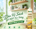 Thi Công Dán Kệ Sách Gỗ MDF Treo Tường Chịu Lực Nặng Với Tshan Bond Nội Thất