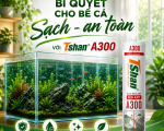 Bí Quyết Giữ Cho Bể Cá Thủy Sinh Luôn Sạch, An Toàn Tuyệt Đối Với Keo silicone Tshan A300
