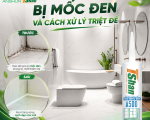 Keo Silicone Bị Mốc Đen Ở Nhà Tắm: Nguyên Nhân Và Cách Khắc Phục Triệt Để