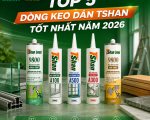 Top 5 Dòng Keo Dán Chất Lượng Tốt Nhất Năm 2026 Mà Thợ Thi Công Không Thể Bỏ Qua
