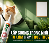 Có nên tự lắp gương trong nhà hay thuê thợ? Kinh nghiệm giúp tiết kiệm chi phí và đảm bảo an toàn