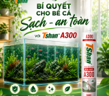 Bí Quyết Giữ Cho Bể Cá Thủy Sinh Luôn Sạch, An Toàn Tuyệt Đối Với Keo silicone Tshan A300