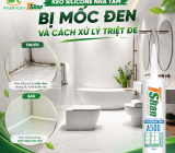 Keo Silicone Bị Mốc Đen Ở Nhà Tắm: Nguyên Nhân Và Cách Khắc Phục Triệt Để